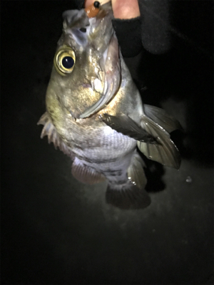 ちょっとスレ気味？