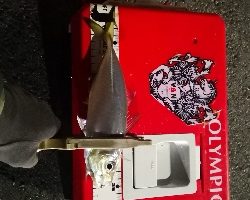 アジング 練習 136