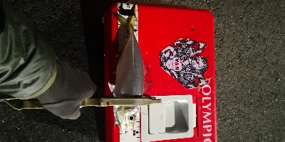 アジング 練習 136