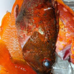 テンヤ・タイラバ船