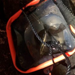 メバルプラッキング