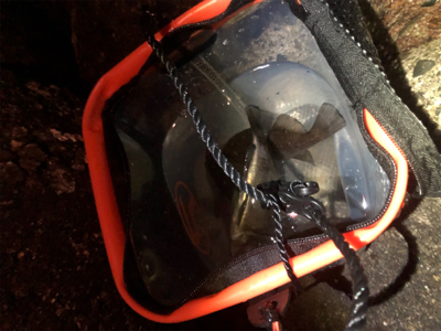 メバルプラッキング