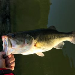 午前中ボート釣行！