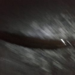 久しぶりのニョロニョロ