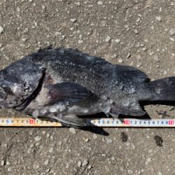 オフショアロック熱いです!