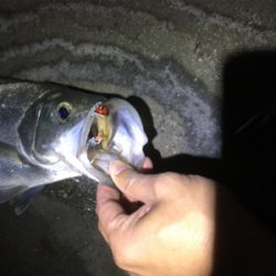 スローーーで食わす