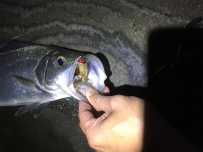 スローーーで食わす