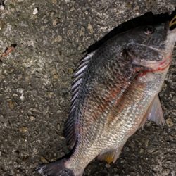 やはり雨上がり