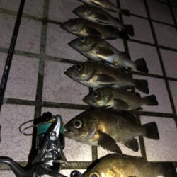 母の誕生日プレゼント