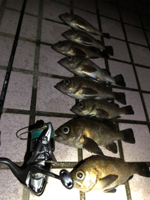 母の誕生日プレゼント