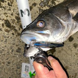 フラッシュブースト炸裂!