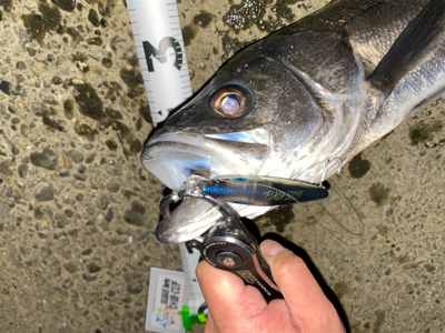 フラッシュブースト炸裂!