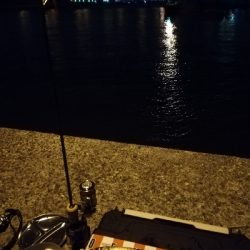 コロナストレス発散