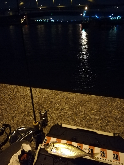 コロナストレス発散