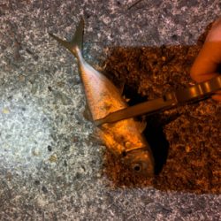 まだまだ夜は寒い