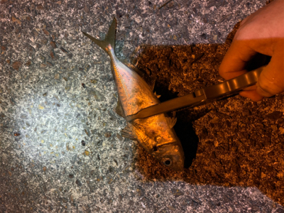 まだまだ夜は寒い