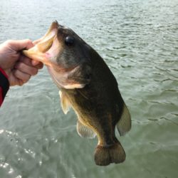 1日ボート釣行！