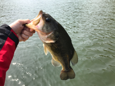 1日ボート釣行！