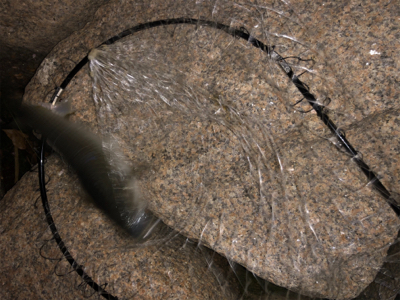 当たりあるが乗らない