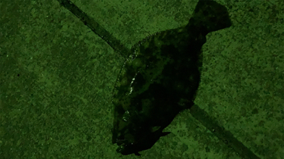 夜のメバリングで