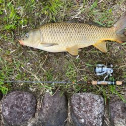 誰もいない野池で見えバス探し