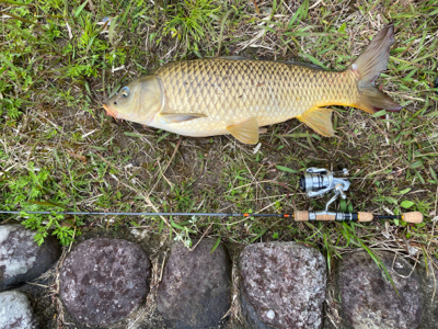 誰もいない野池で見えバス探し