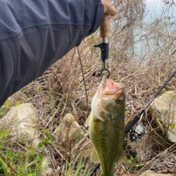 おばけワンド裏