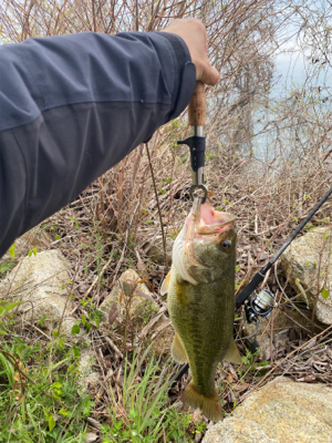 おばけワンド裏