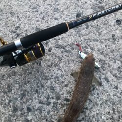 ルアーマンがいっぱい！