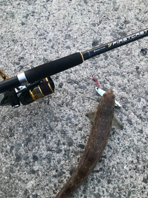 ルアーマンがいっぱい！