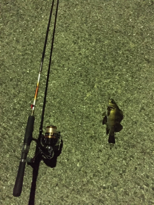 爆風日の当たり日