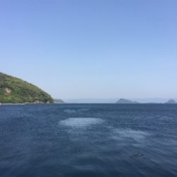 久しぶりの加治木港 チヌ釣り