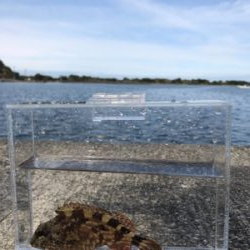 アジは一ヶ所だけ釣れる