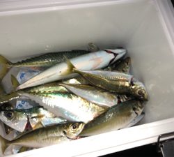 広範囲でボイル