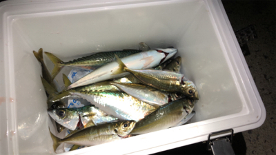 広範囲でボイル