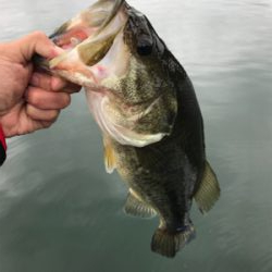 1日ボート釣行！