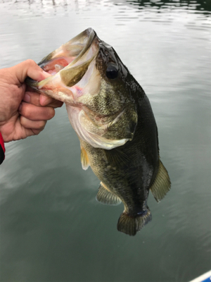 1日ボート釣行！