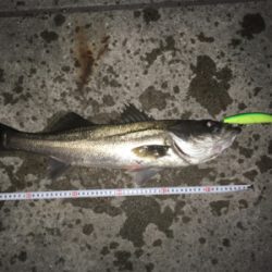 人混みさけの気分転換