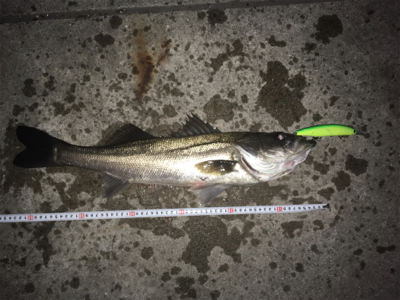 人混みさけの気分転換