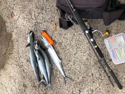 西風が強い中のジギング・エギング！