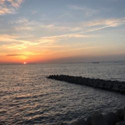 仕事帰りに30分★岸和田で穴釣り!やや大きいソイ★