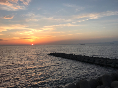 仕事帰りに30分★岸和田で穴釣り!やや大きいソイ★