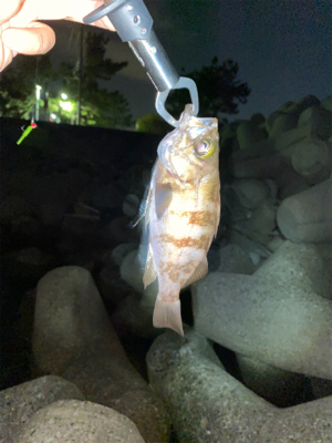 いつもの場所で