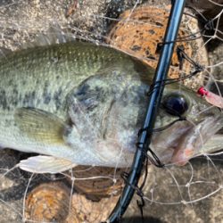 自粛中なので散歩のついでにバス