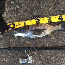 もうちょいで年なし