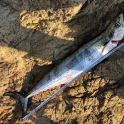 悔しさ残る釣行！