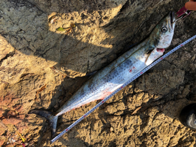 悔しさ残る釣行！