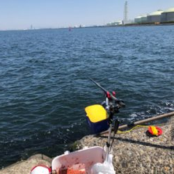 波止チヌ釣り