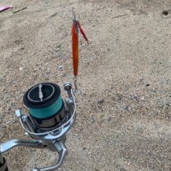 うねりの中、ゆるい場所に隠れてました