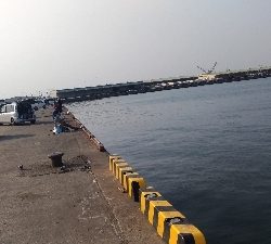 4/8釣果アジ釣れた！嬉しい！